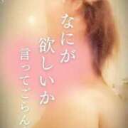 ヒメ日記 2025/05/02 09:02 投稿 相葉はな しこたま奥様 横浜店