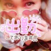 ヒメ日記 2025/05/16 09:03 投稿 相葉はな しこたま奥様 横浜店