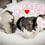 ヒメ日記 2025/05/27 09:03 投稿 相葉はな しこたま奥様 横浜店