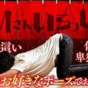 ヒメ日記 2025/06/01 08:07 投稿 相葉はな しこたま奥様 横浜店