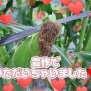 ヒメ日記 2025/07/17 13:02 投稿 相葉はな しこたま奥様 横浜店