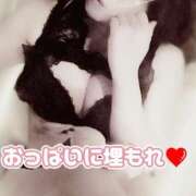 ヒメ日記 2025/07/24 11:42 投稿 相葉はな しこたま奥様 横浜店