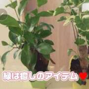 ヒメ日記 2025/08/22 08:02 投稿 相葉はな しこたま奥様 横浜店