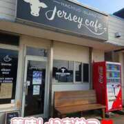 ヒメ日記 2025/08/29 17:02 投稿 相葉はな しこたま奥様 横浜店