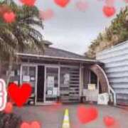 ヒメ日記 2025/08/31 16:42 投稿 相葉はな しこたま奥様 横浜店