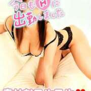 ヒメ日記 2025/09/12 09:11 投稿 相葉はな しこたま奥様 横浜店