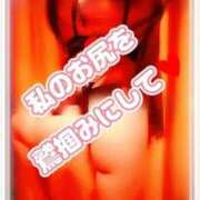 ヒメ日記 2025/10/24 09:17 投稿 相葉はな しこたま奥様 横浜店