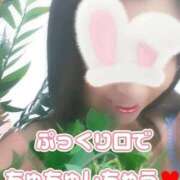 ヒメ日記 2025/11/26 07:52 投稿 相葉はな しこたま奥様 横浜店