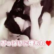 ヒメ日記 2025/12/05 09:07 投稿 相葉はな しこたま奥様 横浜店