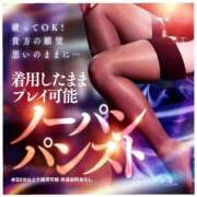 ヒメ日記 2025/12/23 07:32 投稿 相葉はな しこたま奥様 横浜店