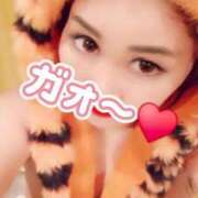 ヒメ日記 2026/01/03 07:32 投稿 相葉はな しこたま奥様 横浜店