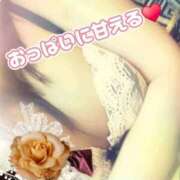 ヒメ日記 2026/01/12 07:12 投稿 相葉はな しこたま奥様 横浜店