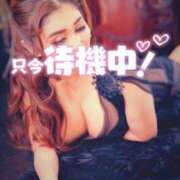 ヒメ日記 2026/01/31 11:42 投稿 相葉はな しこたま奥様 横浜店