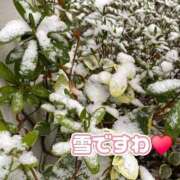 ヒメ日記 2026/02/08 10:52 投稿 相葉はな しこたま奥様 横浜店