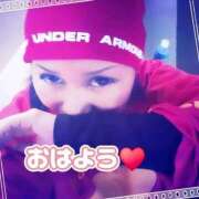 ヒメ日記 2026/02/20 06:52 投稿 相葉はな しこたま奥様 横浜店