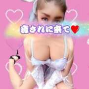 ヒメ日記 2026/03/25 07:32 投稿 相葉はな しこたま奥様 横浜店