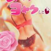 ヒメ日記 2026/03/28 07:32 投稿 相葉はな しこたま奥様 横浜店