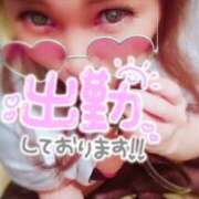 ヒメ日記 2026/05/15 09:12 投稿 相葉はな しこたま奥様 横浜店