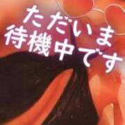 ヒメ日記 2026/06/24 17:02 投稿 相葉はな しこたま奥様 横浜店