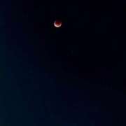 ヒメ日記 2025/09/08 02:59 投稿 梨乃(リノ) グランドオペラ名古屋