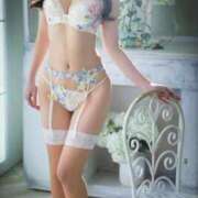 梨乃(リノ) 11/1の状況 グランドオペラ名古屋