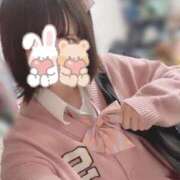 ヒメ日記 2025/11/19 11:20 投稿 ゆきの 電車ごっこ