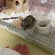 ヒメ日記 2025/12/25 15:20 投稿 ゆきの 電車ごっこ