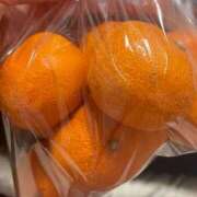 ヒメ日記 2026/01/17 09:10 投稿 ゆきの 電車ごっこ