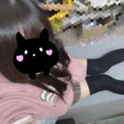 ヒメ日記 2026/02/01 14:20 投稿 ゆきの 電車ごっこ