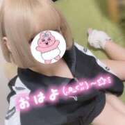 ヒメ日記 2026/03/14 11:40 投稿 ゆきの 電車ごっこ