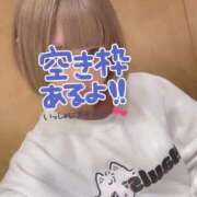 ヒメ日記 2026/03/14 15:20 投稿 ゆきの 電車ごっこ