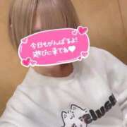 ヒメ日記 2026/03/16 11:38 投稿 ゆきの 電車ごっこ