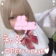 ヒメ日記 2026/03/23 10:40 投稿 ゆきの 電車ごっこ