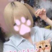 ヒメ日記 2026/03/28 12:00 投稿 ゆきの 電車ごっこ