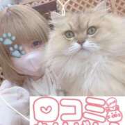 ヒメ日記 2026/03/31 22:20 投稿 ゆきの 電車ごっこ