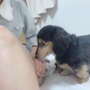 ヒメ日記 2026/04/07 20:50 投稿 ゆきの 電車ごっこ