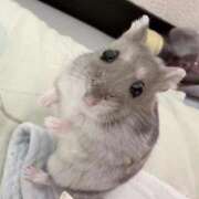 ヒメ日記 2026/04/25 15:20 投稿 ゆきの 電車ごっこ