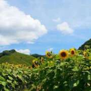 ヒメ日記 2025/07/24 15:22 投稿 朱珠-すず- 人妻倶楽部 花椿北上店