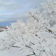 ヒメ日記 2025/12/27 13:22 投稿 朱珠-すず- 人妻倶楽部 花椿北上店