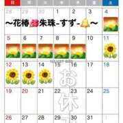 朱珠-すず- ７月の出勤予定カレンダーです🗓️🌻 人妻倶楽部 花椿北上店