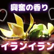 ヒメ日記 2025/10/26 03:22 投稿 まりあ 錦糸町ミセスアロマ（ユメオト）