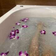 ヒメ日記 2025/05/15 13:14 投稿 ちひろ ときめき純情ロリ学園～東京乙女組 新宿校