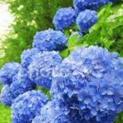 ヒメ日記 2025/05/17 22:36 投稿 まり(昭和46年生まれ) 熟年カップル名古屋～生電話からの営み～