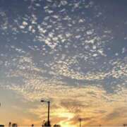 ヒメ日記 2025/09/06 05:33 投稿 まり(昭和46年生まれ) 熟年カップル名古屋～生電話からの営み～