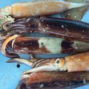 ヒメ日記 2025/09/22 21:54 投稿 まり(昭和46年生まれ) 熟年カップル名古屋～生電話からの営み～