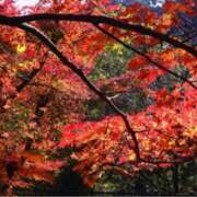 ヒメ日記 2025/10/02 06:52 投稿 まり(昭和46年生まれ) 熟年カップル名古屋～生電話からの営み～