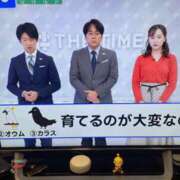 ヒメ日記 2025/11/04 05:29 投稿 まり(昭和46年生まれ) 熟年カップル名古屋～生電話からの営み～