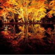 ヒメ日記 2025/11/19 19:01 投稿 まり(昭和46年生まれ) 熟年カップル名古屋～生電話からの営み～