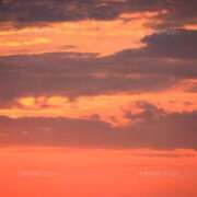 ヒメ日記 2025/12/12 06:27 投稿 まり(昭和46年生まれ) 熟年カップル名古屋～生電話からの営み～