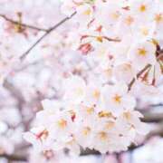 ヒメ日記 2026/02/22 14:45 投稿 まり(昭和46年生まれ) 熟年カップル名古屋～生電話からの営み～